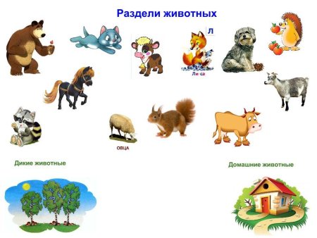 Дикие и домашние животные для дошкольников