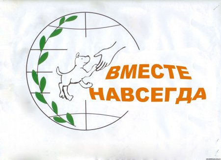 Защитим животных