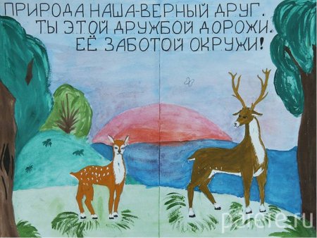 Плакат берегите животных