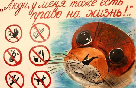Плакат берегите животных