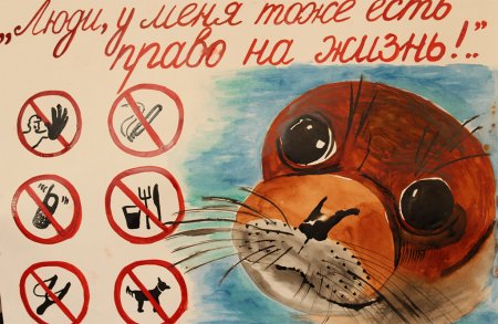 Плакат берегите животных
