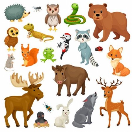 Лесные животные cartoon