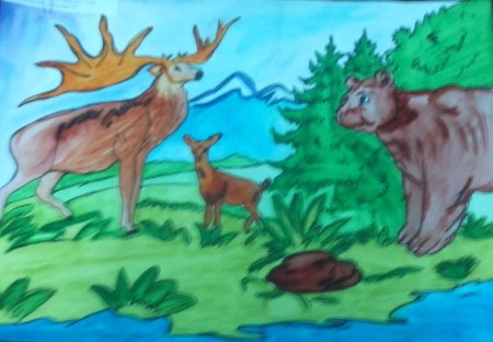 Заповедные уголки родного края