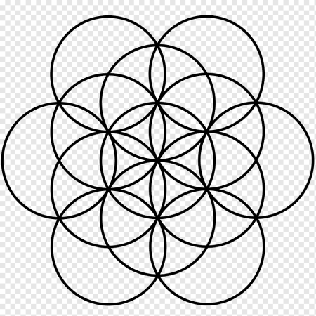 Окружность и циркуль