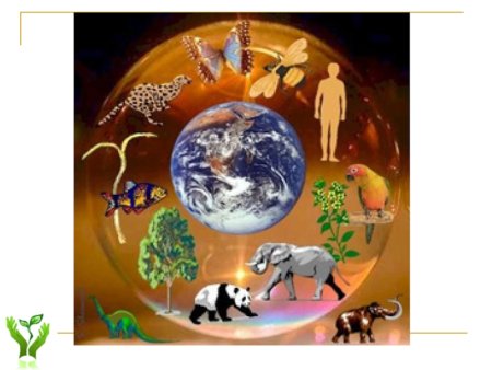 Живые существа нашей планеты