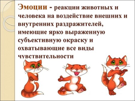 Как составить цепь питания