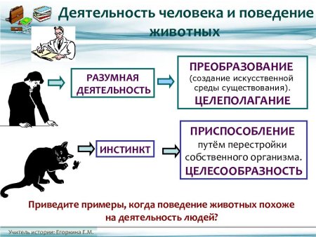 Наброски животных на конструкцию