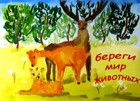 Плакат берегите животных