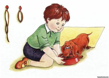 Мальчик кормит собаку