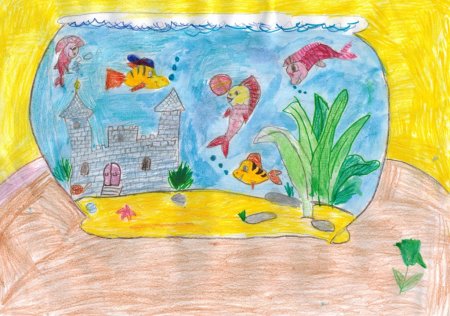 Сен Санс аквариум