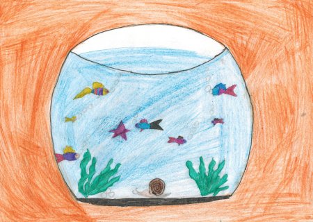 Камиль сен-Санс аквариум рисунок