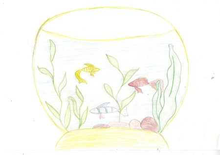 Сен Санса аквариум