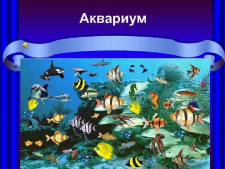 Сен-Санс карнавал животных аквариум