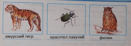 Книга Тоби и гиганты ледникового периода