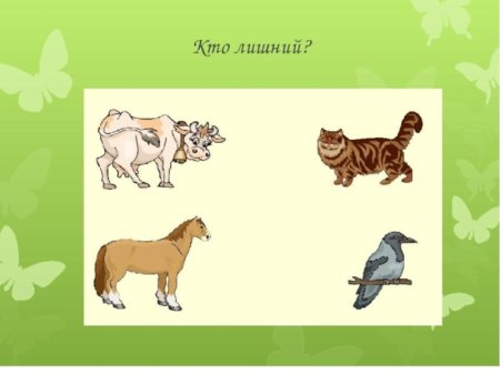 Домашние животные задания для детей