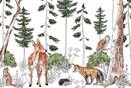 Лес и его обитатели