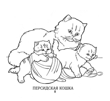 Раскраска мама кошка с котятами