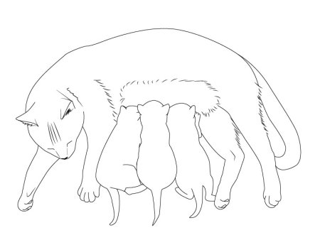 Кошка кормит котят раскраска