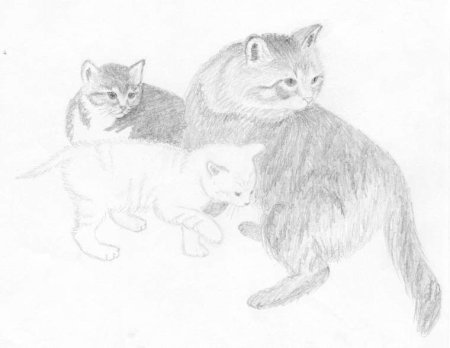 Кошка с котятами рисунок карандашом