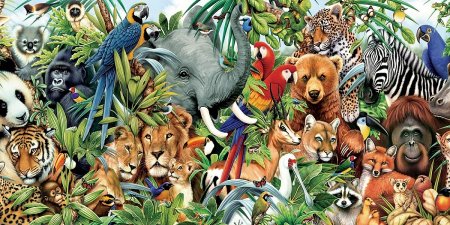 Животные в одном стиле