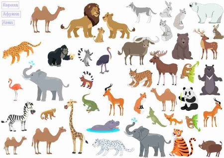 Животные рисунки