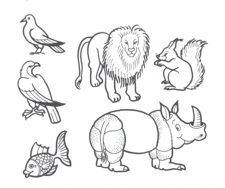 Много животных на одной картинке