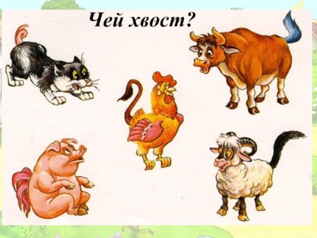 Наклейки черно белые животные