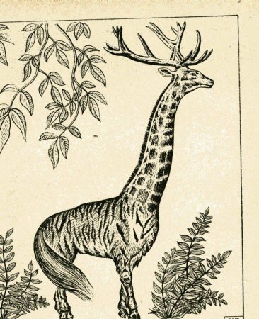 Разные животные рисунки