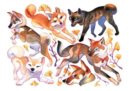 Дикие и домашние животные раскраска