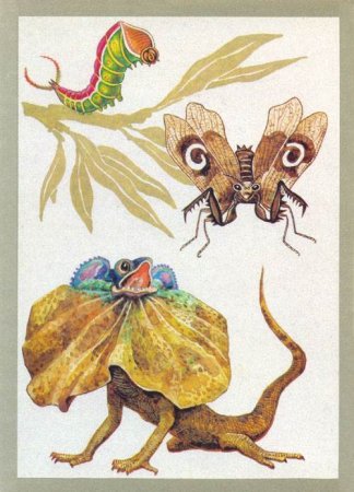 Животные с отпугивающей окраской