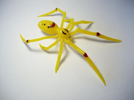 Гавайский счастливый паук