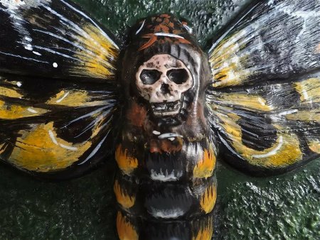 Бабочка Сатурния ио