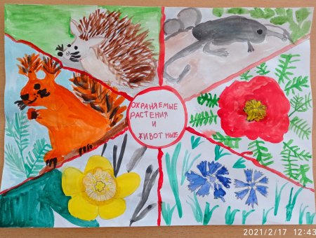 Название рисунков для экологического конкурса