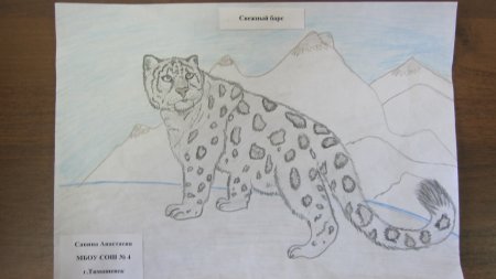 Животные из красной книги рисовать снежный Барс