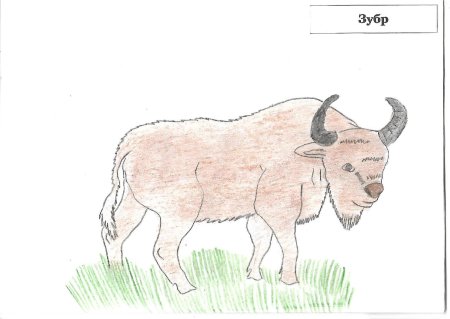 ЗУБР рисунок