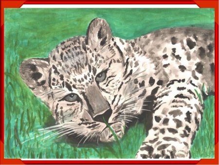 Рисунки животных из красной книги