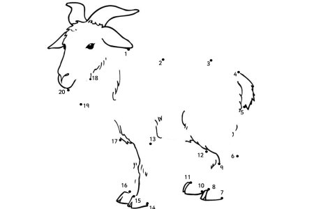 Животные по точкам