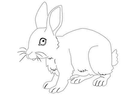 Обведи по точкам Дикие животные