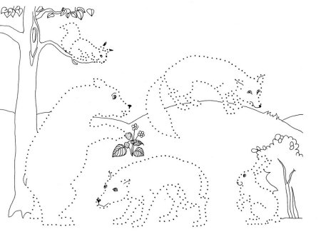 Дикие животные обводка