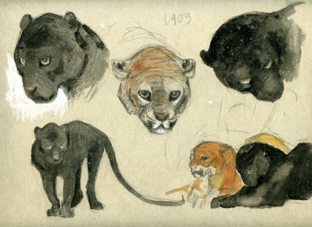 Анималистический Жанр Василий Ватагин