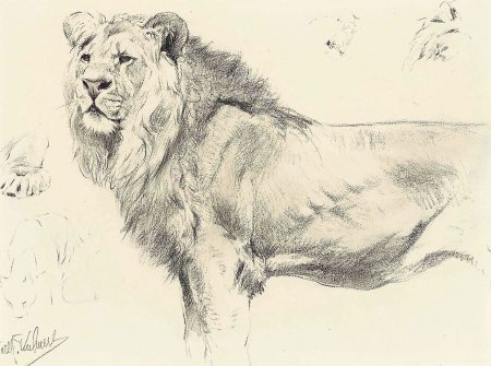 Вильгельм Кунерт Наброски