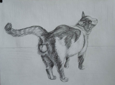 Анималистический Жанр карандашом