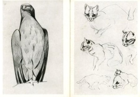 Василий Ватагин Графика