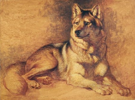 Анималистический Жанр