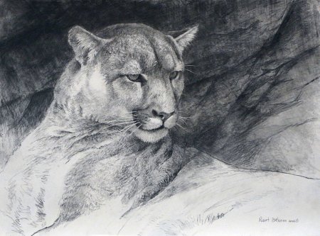 Анималистический Жанр Графика