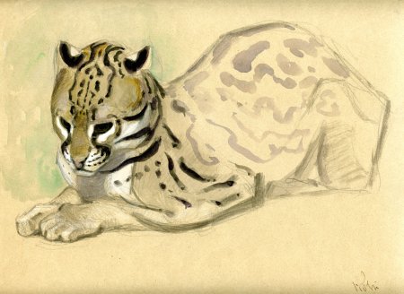 Василий Ватагин художник