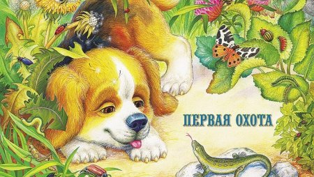 Произведение первая охота Виталий Бианки