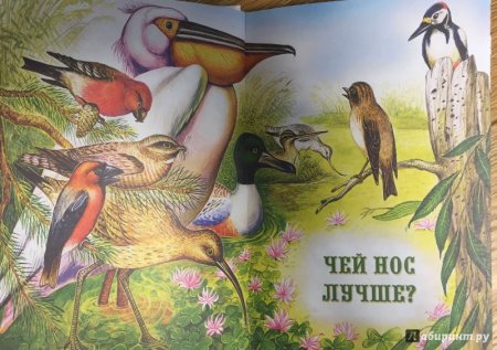 Иллюстрации к рассказам Бианки о животных