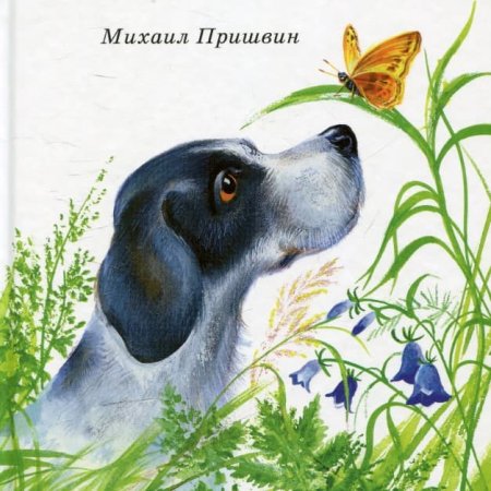 Михаил пришвин охота за бабочкой рассказ