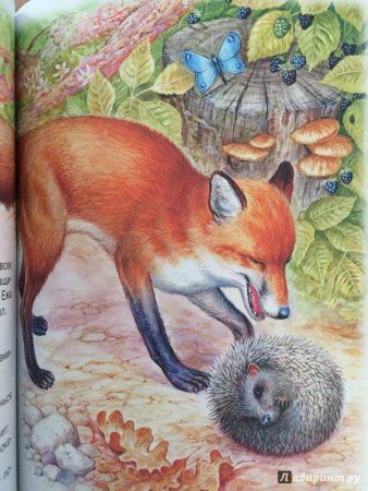 Иллюстрации к произведениям о животных